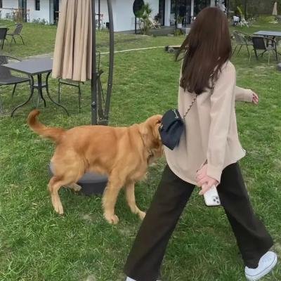 弥天之谎